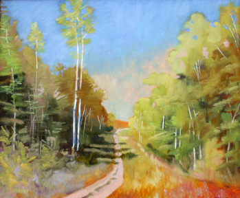 Washington Island Back Road
